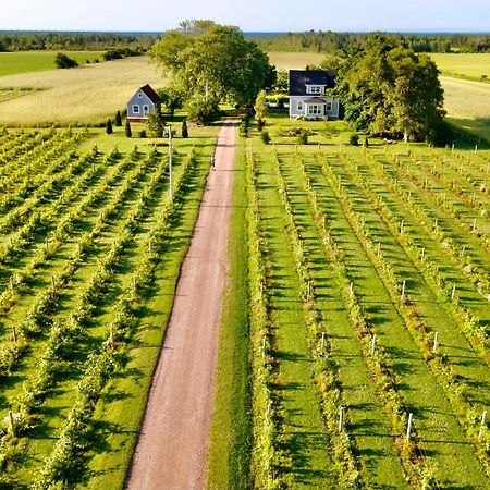 Sunbury Cove Winery Panzió Miscouche Kültér fotó
