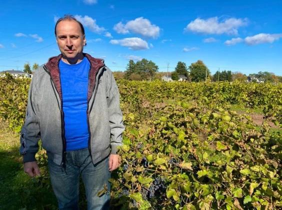 Sunbury Cove Winery Panzió Miscouche Kültér fotó